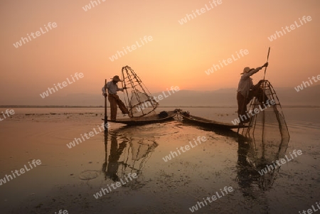 Fishermen at sunrise in the Landscape on the Inle Lake in the Shan State in the east of Myanmar in Southeastasia.