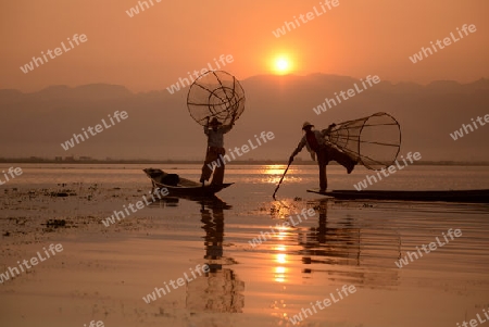 Fishermen at sunrise in the Landscape on the Inle Lake in the Shan State in the east of Myanmar in Southeastasia.