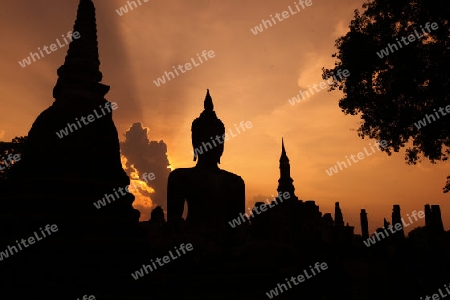 Eine Buddha Figur  im Wat Mahathat Tempel in der Tempelanlage von Alt-Sukhothai in der Provinz Sukhothai im Norden von Thailand in Suedostasien.