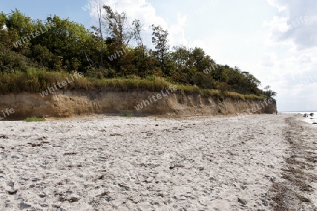 Naturstrand an der Ostsee bei Gollwitz, Insel Poel