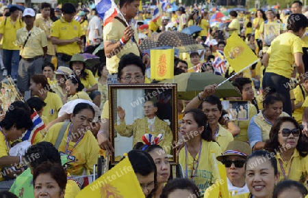 Tausende von Thailaender zelebrieren den Kroenungstag des Koenig Bhumibol auf dem Sanam Luang Park vor dem Wat Phra Kaew in der Stadt Bangkok in Thailand in Suedostasien.  