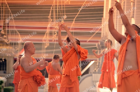 Moenche bei den Vorbereitungen auf die Neujahrsnacht Feier in der Tempelanlage des Wat Pho in der Hauptstadt Bangkok von Thailand in Suedostasien.