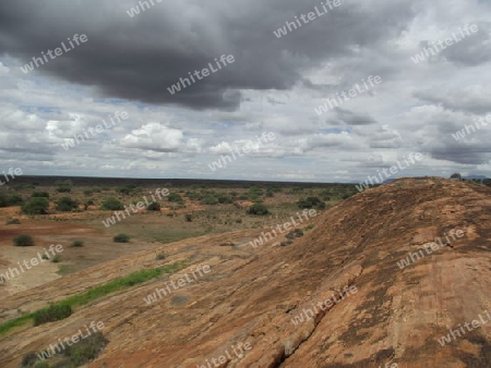 Nationalpark, Landschaft, Tsavo, Ost, Kenya, Kenia, Afrika