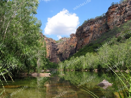 Gebirge am Buschwasser