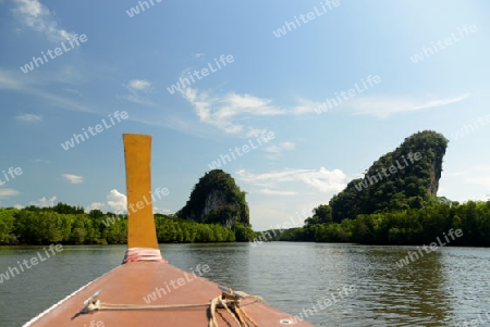 The mangroves at a lagoon near the City of Krabi on the Andaman Sea in the south of Thailand. 