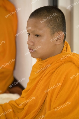 Buddhistische M?nche