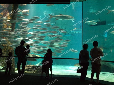 Aquarium, New Orleans,USA