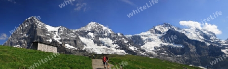 Panorama Eiger - M?nch - Jungfrau