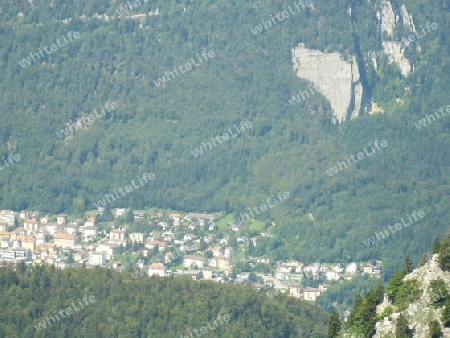 Stadt oder Dorf im Wald