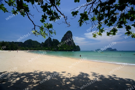 The Hat Railay Leh Beach at Railay near Ao Nang outside of the City of Krabi on the Andaman Sea in the south of Thailand. 