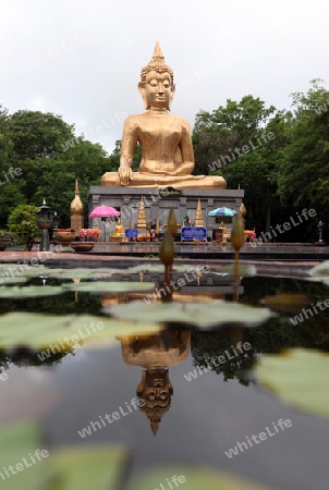 Der Grosse Buddha in der Provinzhauptstadt Amnat Charoen in der Provinz Amnat Charoen im Isan im Nordosten von Thailand. 