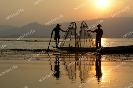 Fishermen at sunset in the Landscape on the Inle Lake in the Shan State in the east of Myanmar in Southeastasia.