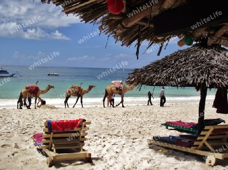 Sonne, Strand, Meer, Wei?, Weiss, Sand, Wei?er Sand, Weisser Sand, Diani, Beach, Kenia, Kenya, Afrika, Urlaub, 