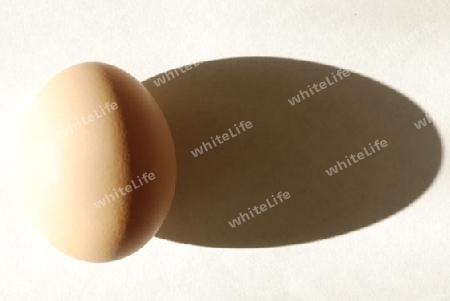 Egg