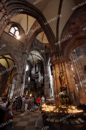 the muenster church in the old town of Freiburg im Breisgau in the Blackforest in the south of Germany in Europe.