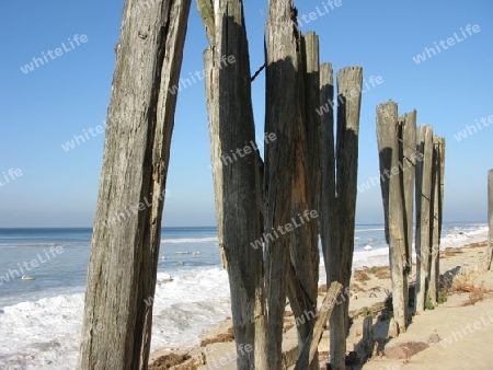 Alte Holzpfähle am Strand