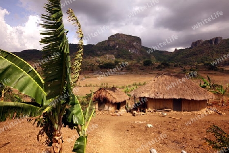 Die Landschaft bei Loihuno in Zental Ost Timor auf der in zwei getrennten Insel Timor in Asien.