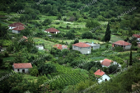 Europa, Osteuropa, Balkan. Montenegro, Skadar, See, Landschaft, Godinje, Landwirtschaft, Bergdorf, Haus,