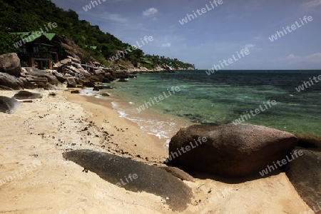 Der Strand  von Cape Je Ta Gang Beach auf der Insel Ko Tao im Golf von Thailand im Suedwesten von Thailand in Suedostasien.  