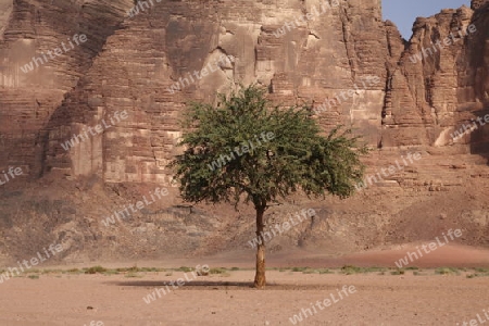 The Landscape of the Wadi Rum Desert in Jordan in the middle east.