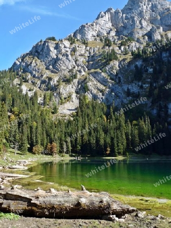 Bergsee bei Axalp, Schweiz, Mountain Lake at Axalp, Switzerland