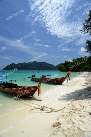 A Beach on the Island of Ko PhiPhi on Ko Phi Phi Island outside of the City of Krabi on the Andaman Sea in the south of Thailand. 