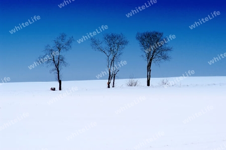 Winterlandschaft