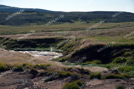 Der S?dwesten Islands, Reykjanes Halbinsel s?dlich von Reykjavik, Solfatare von Krisuvik