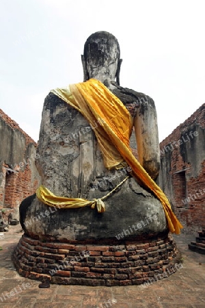 Der Wat Chetharam Tempel in der Tempelstadt Ayutthaya noerdlich von Bangkok in Thailand