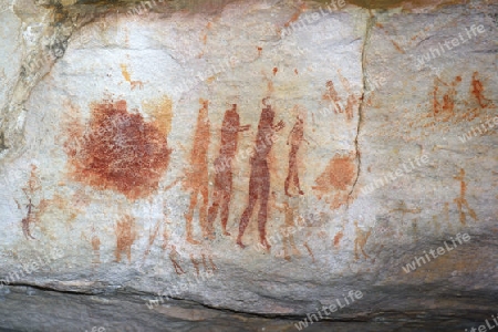 Alte Felszeichnungen der San, Ureinwohner S?dafrikas, Sevilla Rock Art Trail, Cederberge nahe Clanwilliam und Wuppertal, Western Cape, West Kap, S?dafrika, Afrika