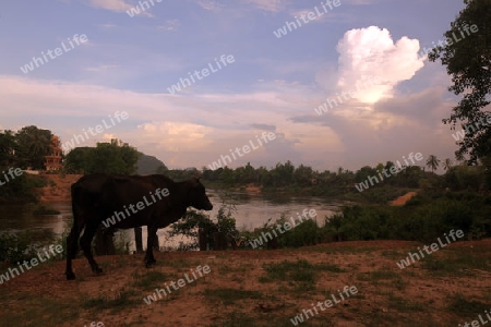 Die Landschaft am Xe Bang Fai River beim Dorf Mahaxai Mai von Tham Pa Fa unweit der Stadt Tha Khaek in zentral Laos an der Grenze zu Thailand in Suedostasien.