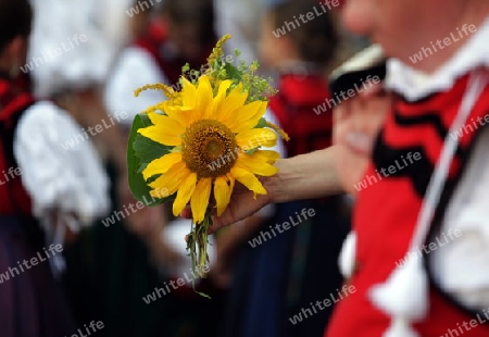 a traditional festival in the old town of Waldshut in the Blackforest in the south of Germany in Europe.