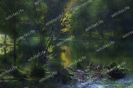 Fernsteinsee in Tirol