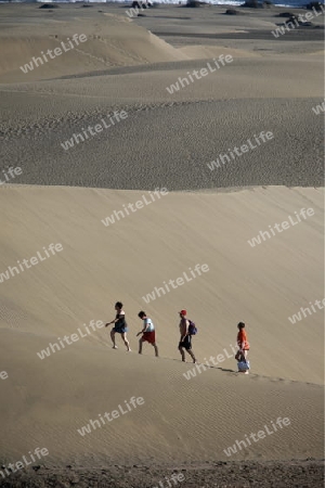 the Sanddunes at the Playa des Ingles in town of Maspalomas on the Canary Island of Spain in the Atlantic ocean.