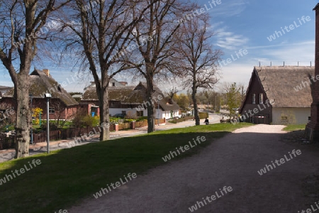 Am Hafen bei Wustrow auf dem Fischland,  Deutschland