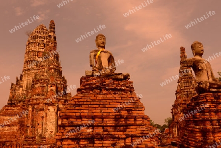 The Wat Chai Wattanaram Temple in City of Ayutthaya in the north of Bangkok in Thailand, Southeastasia.