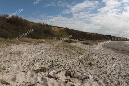 Steilk?ste bei Ahrenshoop, Fischland, Deutschland