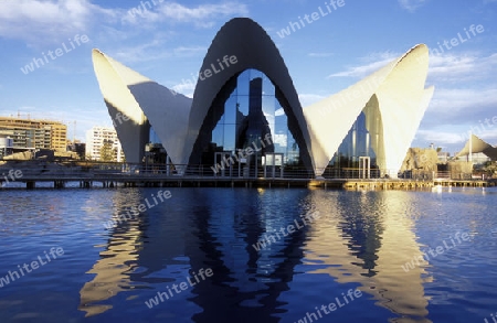 Das L Oceanografic im Modernen Stadtteil von Valenzia in Spanien in Europa.