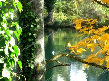 Stimmung im Herbst