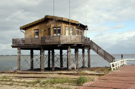 Wangerooge - Hafen