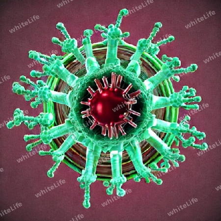 Virus