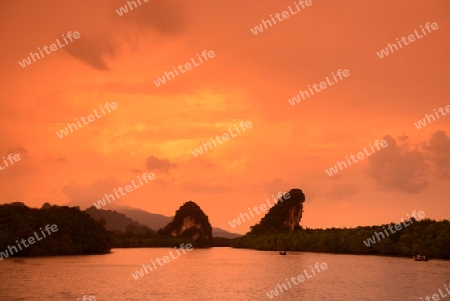 The mangroves at a lagoon near the City of Krabi on the Andaman Sea in the south of Thailand. 