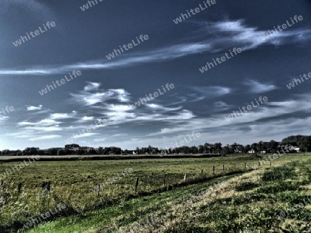 Wiese am Bodden