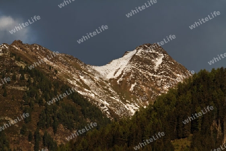 Der Ahorn bei Mayrhofen, Zillertal, Oesterreich