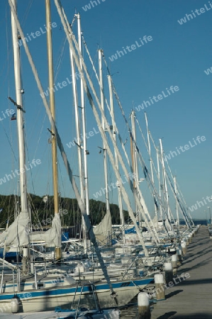 Segelflotte im Hafen