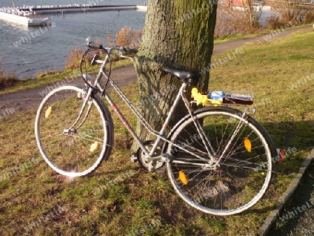 Fahrrad