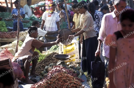 Asien, Indischer Ozean, Sri Lanka,
Ein traditioneller Markt im Kuestendorf Hikkaduwa an der Suedwestkueste von Sri Lanka. (URS FLUEELER)






