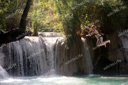 Der Wasserfall Tad Kuang Si bei Luang Prabang in Zentrallaos von Laos in Suedostasien