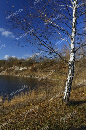 Herbst am See