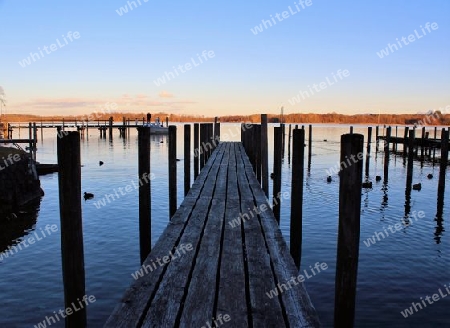 Morgenstimmung am Chiemsee